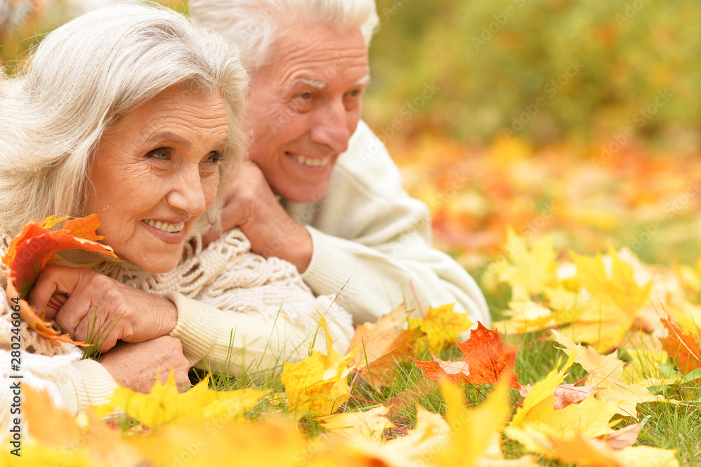 beautiful senior couple relaxing in the park beautiful senior couple relaxing in the park