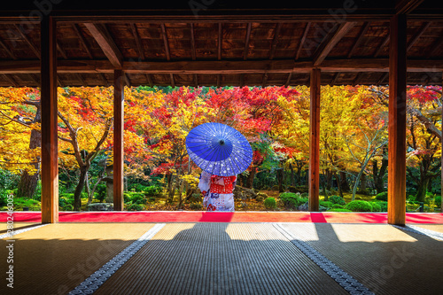 Fototapeta Azjatycka kobieta jest ubranym japońskiego tradycyjnego kimono w jesieni przy Enkoji świątynią, Kyoto, Japonia.