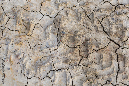 brown, dry and cracked earth