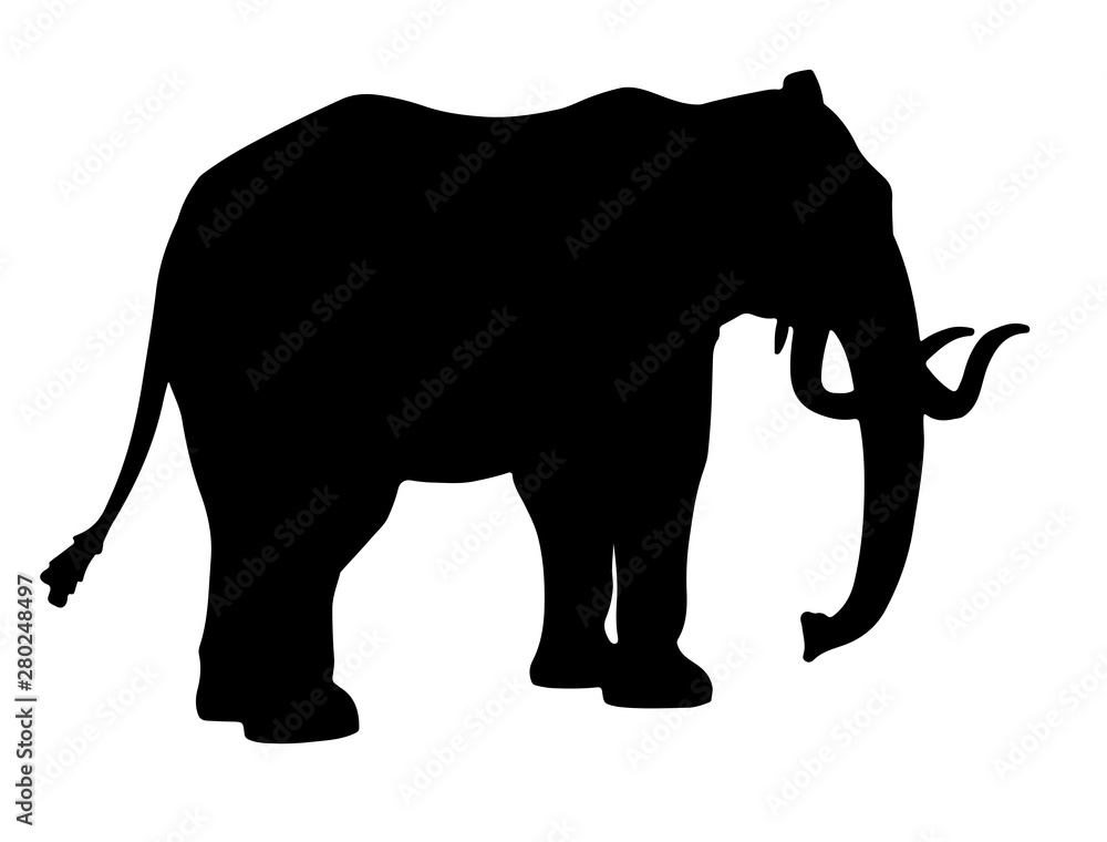 elephant silhouette vector elephant silhouette vector