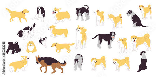 Fototapeta Naklejka Na Ścianę i Meble -  Set of different dogs. Big collection of dog breeds. Isolated on white background. Flat style cartoon stock vector