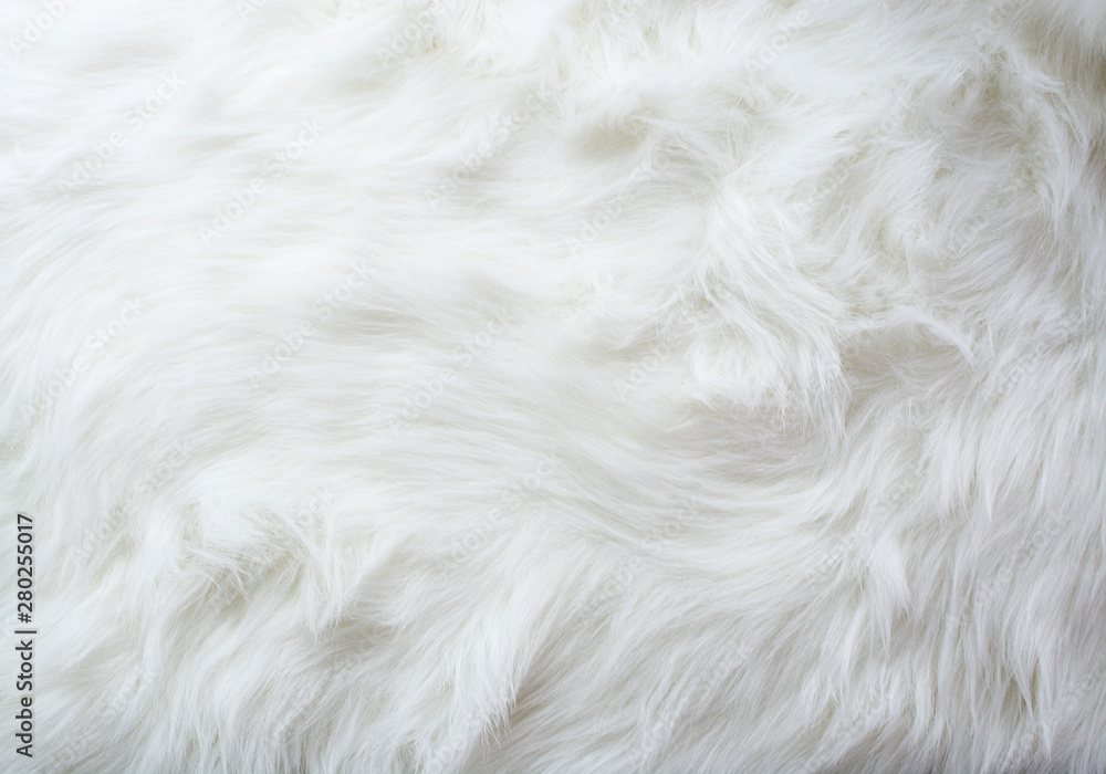 Fur, White Color, Rug, Textured, Fluffy, Backgrounds, Elegance, Softness,  Fake Snow, Horizontal, Manufactured Object, Photography Stock Photo | Adobe  Stock