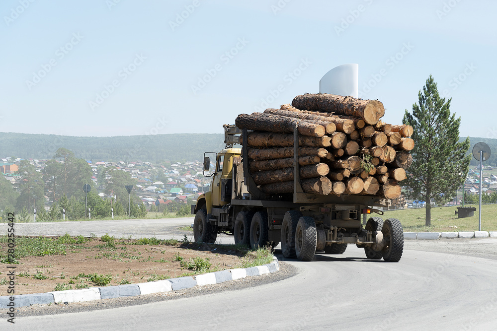 The truck transports the cut trees. Timber transports lumber. Vehicles loaded