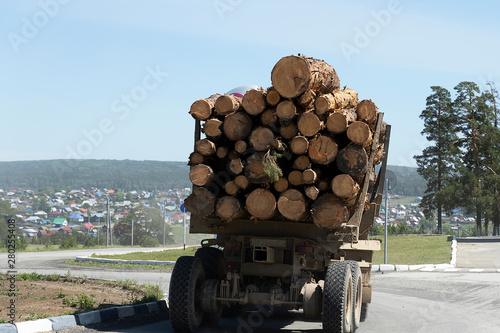 The truck transports the cut trees. Large transport loaded. Timber transports lumber.