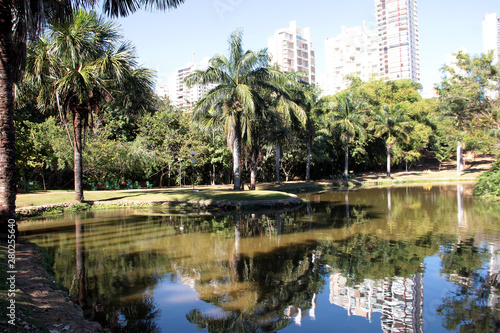 park with lake and coconut trees © Giovanni.Seabra