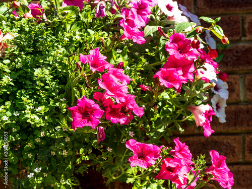 Wallpaper Mural OLYMPUS DIGITAL CAMERA Torontodigital.ca