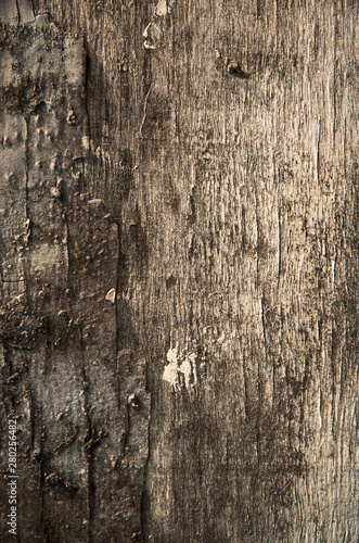 old wooden board, background