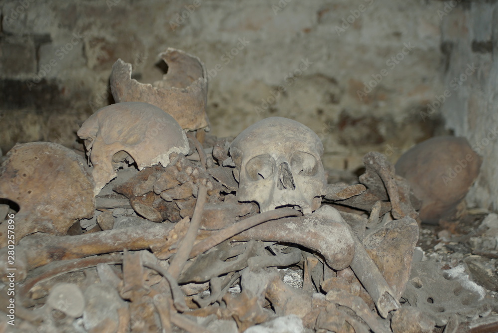 human skull and bones in the crypt human skull and bones in the crypt