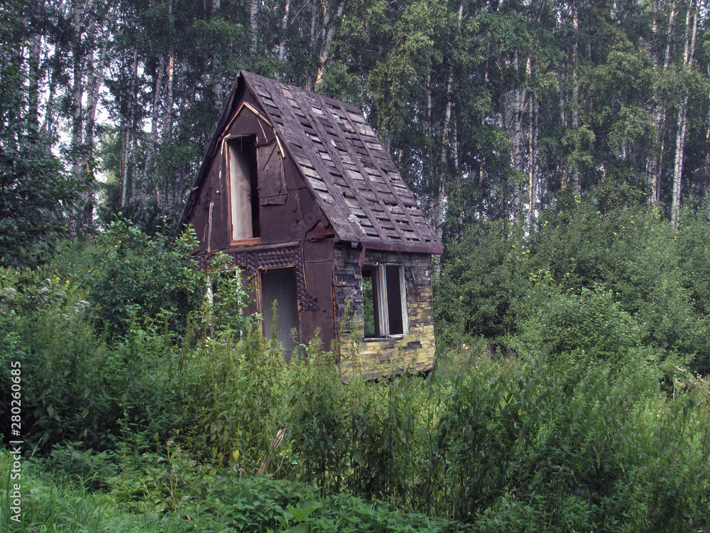 Old abandoned gray ruined house with a sharp roof surrounded by a birch forest.