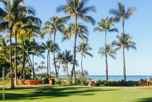 Beautiful Hawaii background. © Alla