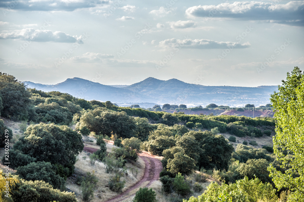 Fototapeta premium landscape with road, trees and bushes and in the background mountains with blue sky and some clouds