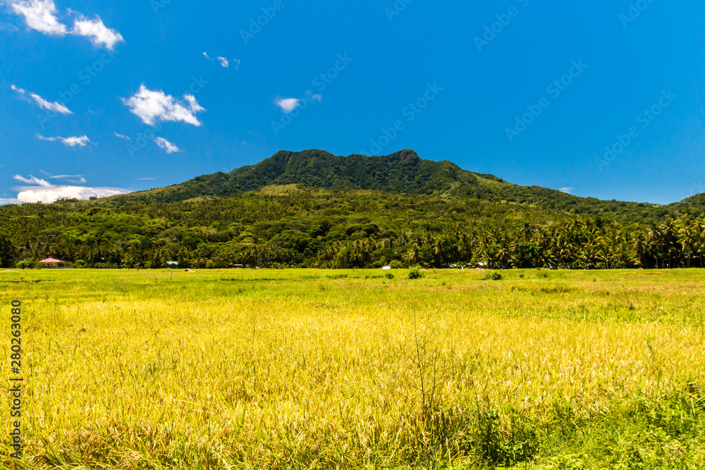 Farmland and forest on the flanks of Mount Mambajao on the volcanic island of Camiguin in the Philippines