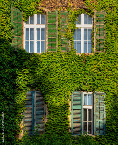 Nice house covered with ivy