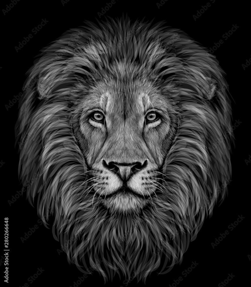 Lion. Black and white, graphic portrait of a lion's head profile on a black  background. Stock Vector | Adobe Stock