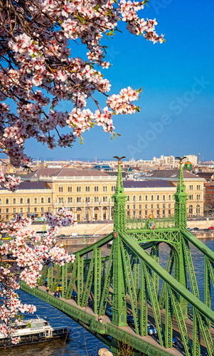Beautiful Liberty Bridge with almond blossom in Budapest