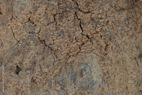 Brown texture of a dirt road. Abstract cracks on the soil surface. © antropova