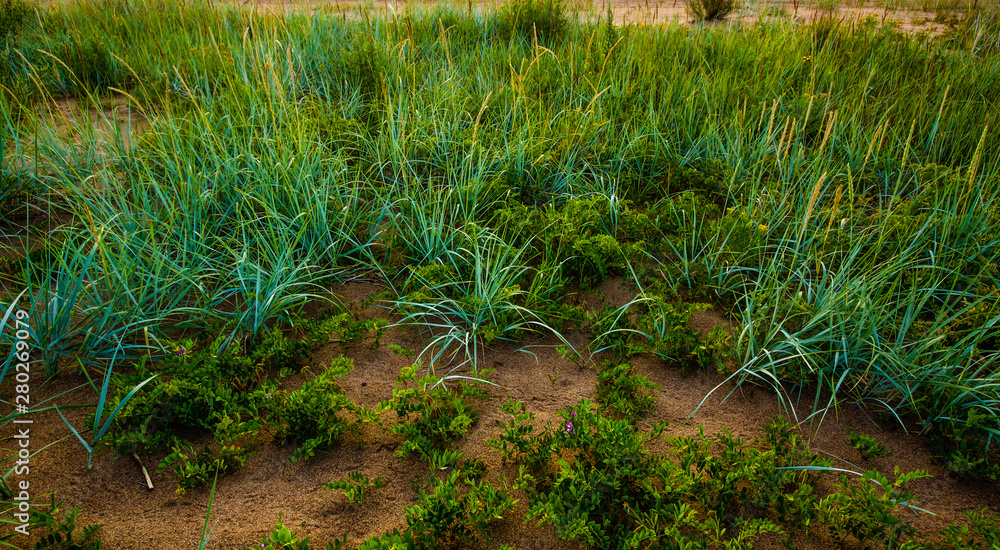 Obraz premium Sandy beach and sunset at the bay