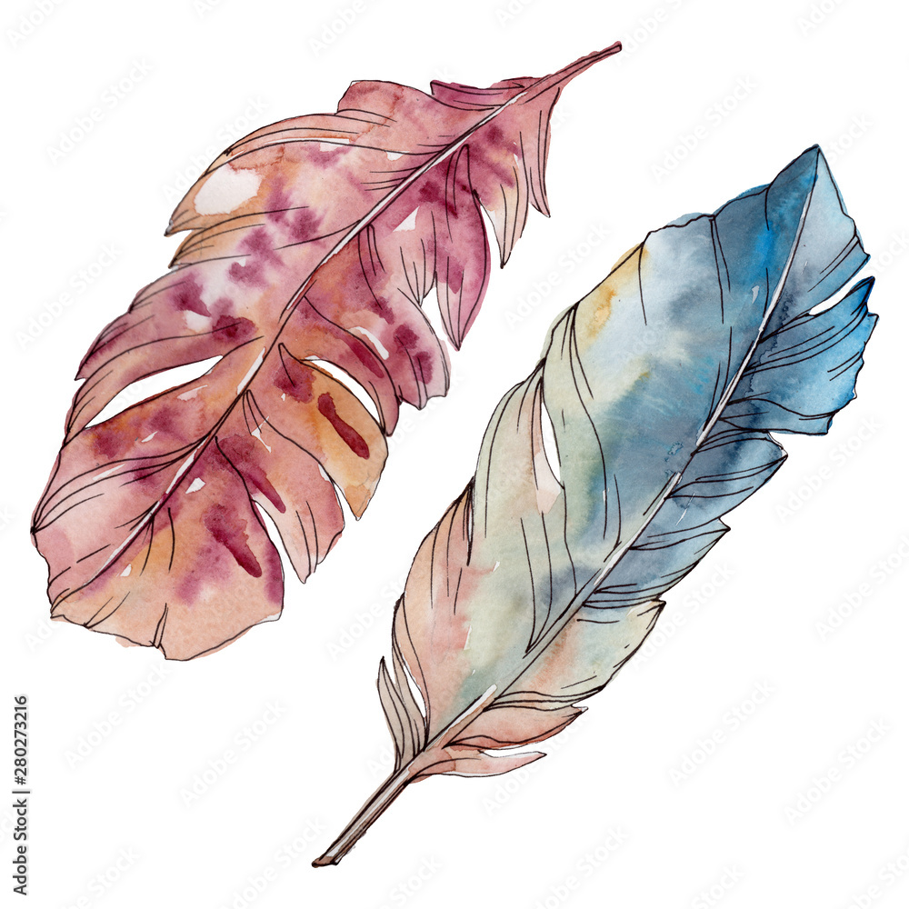 Obraz Colorful bird feather from wing isolated. Watercolor background set. Isolated feathers illustration element.