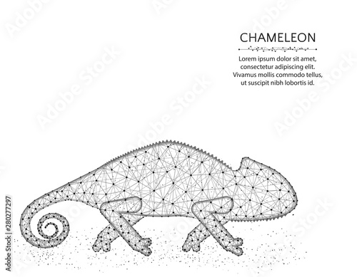 Lizard chameleon low poly design, African animal abstract graphics, reptile polygonal wireframe vector illustration made from points and lines on a white background