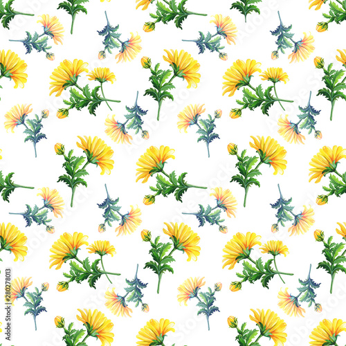 Watercolor chrysanthemums on a white background.Abstract seamless pattern of yellow flowers