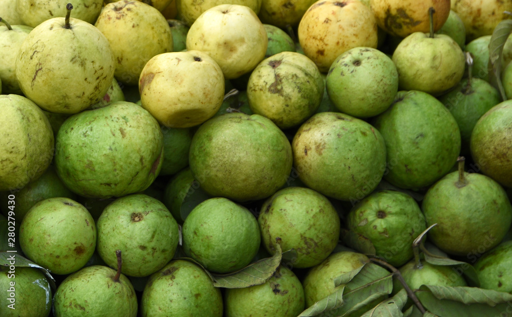 Fresh green indian guava at the market in Mumbai Fresh green indian guava at the market in Mumbai