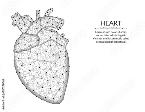 Heart with aorta and veins low poly design, human organs abstract graphics, anatomy polygonal wireframe vector illustration made from points and lines on a white background