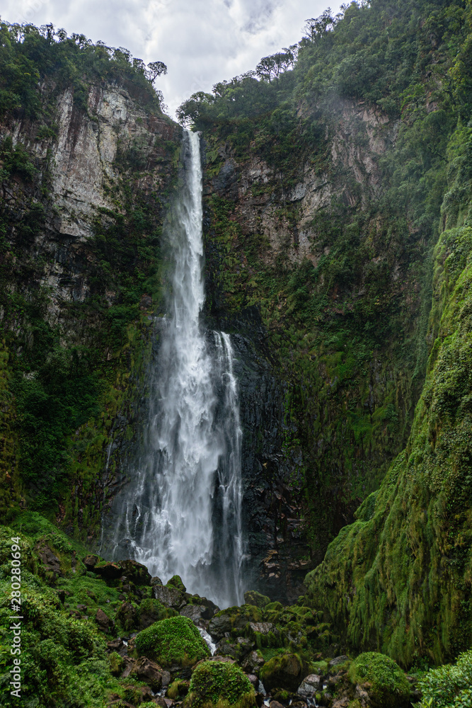 Obraz premium waterfall in the forest