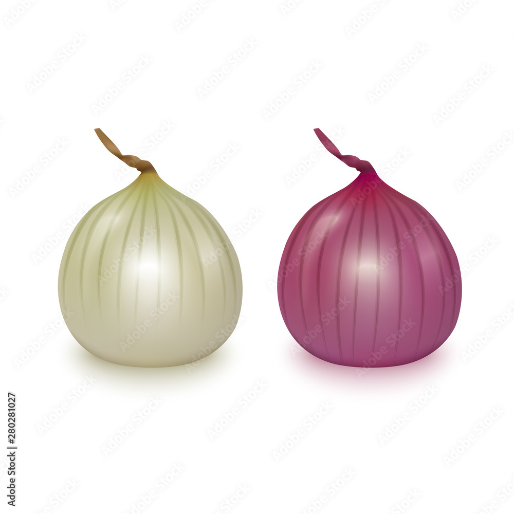 Obraz premium Vector fresh whole red and white onion bulbs on white background. Realistic vector, 3d illustration
