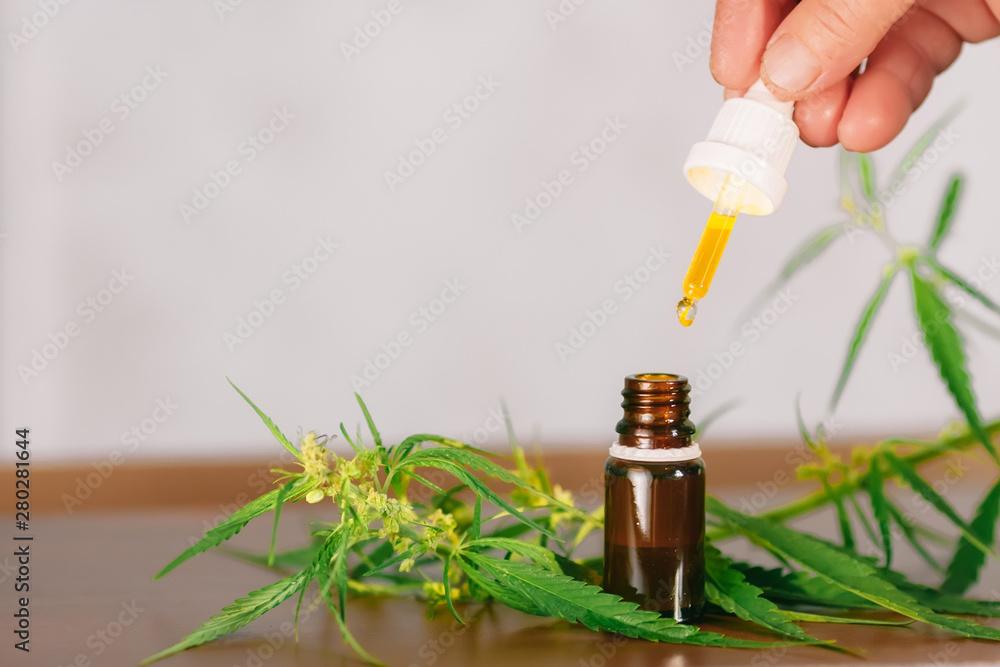 Bottle of CBD cannabis oil. Health marijuana with cannabidiol content. Pharmaceutical hemp drug preparation with safe cannabinoids Bottle of CBD cannabis oil. Health marijuana with cannabidiol content. Pharmaceutical hemp drug preparation with safe cannabinoids