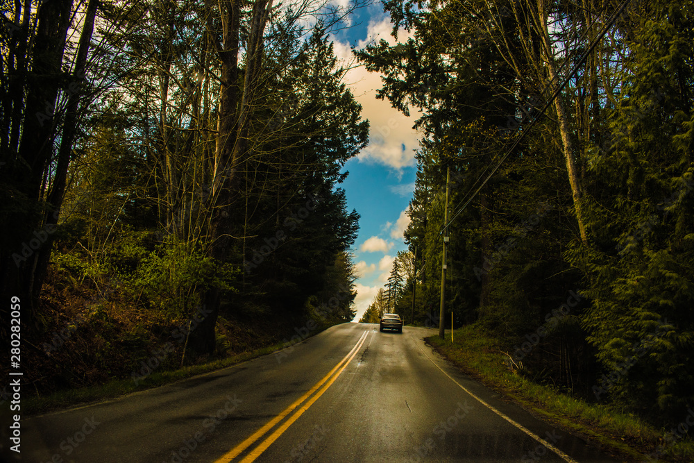 Obraz premium road in forest