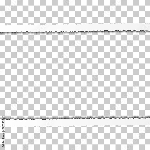 Straight Snatched Ripped Paper Border with Shadows Isolated on Transparent Background. Realistic Horizontal Paper Edge