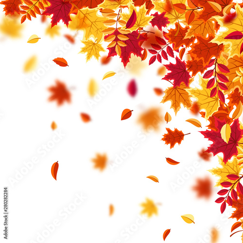 Autumn falling leaves. Nature background with red  orange  yellow foliage. Flying leaf. Season sale. Vector illustration.