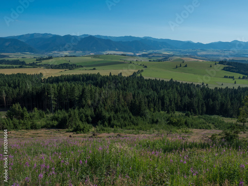 Mountain valley with meadow, forest, green fileds and with blue misty slopes of low tatra mountais in the distance. viewed from western Tatras mountain trail. Summer blue sky, Slovakia. © Kristyna