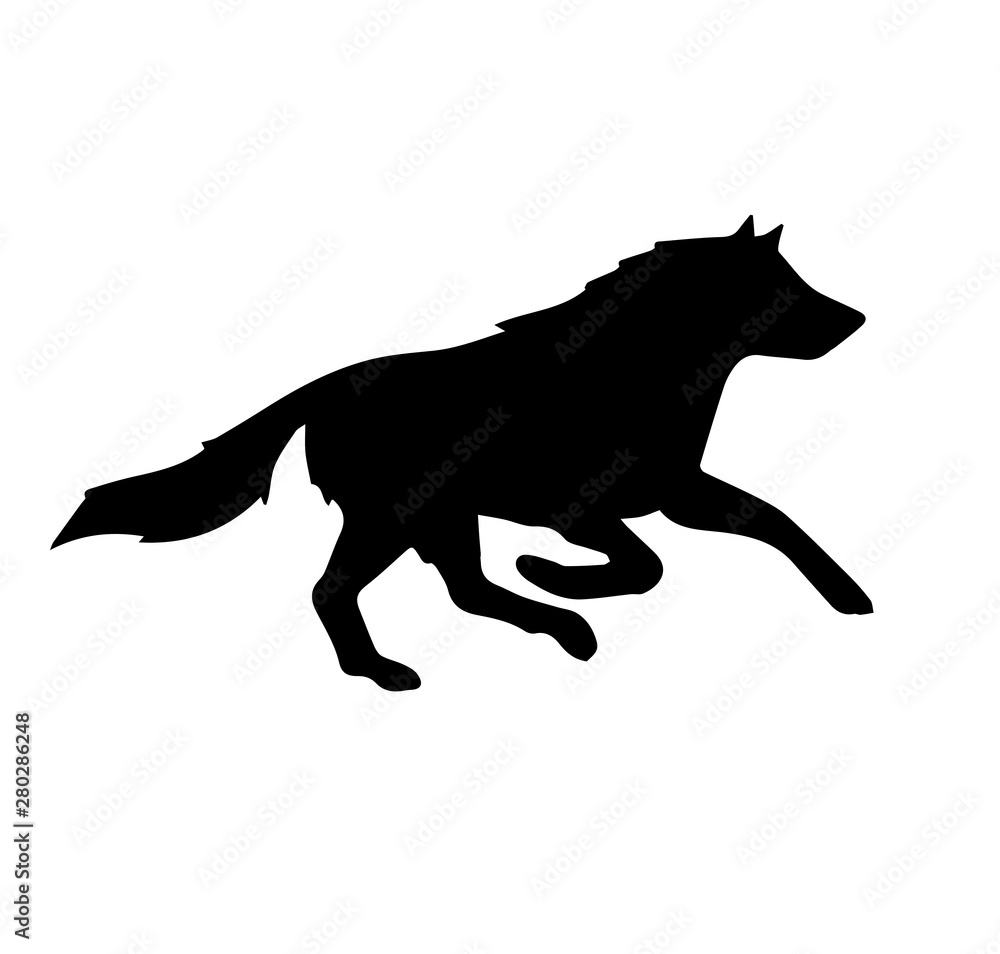 Vector black silhouette of wolf running isolated on white background