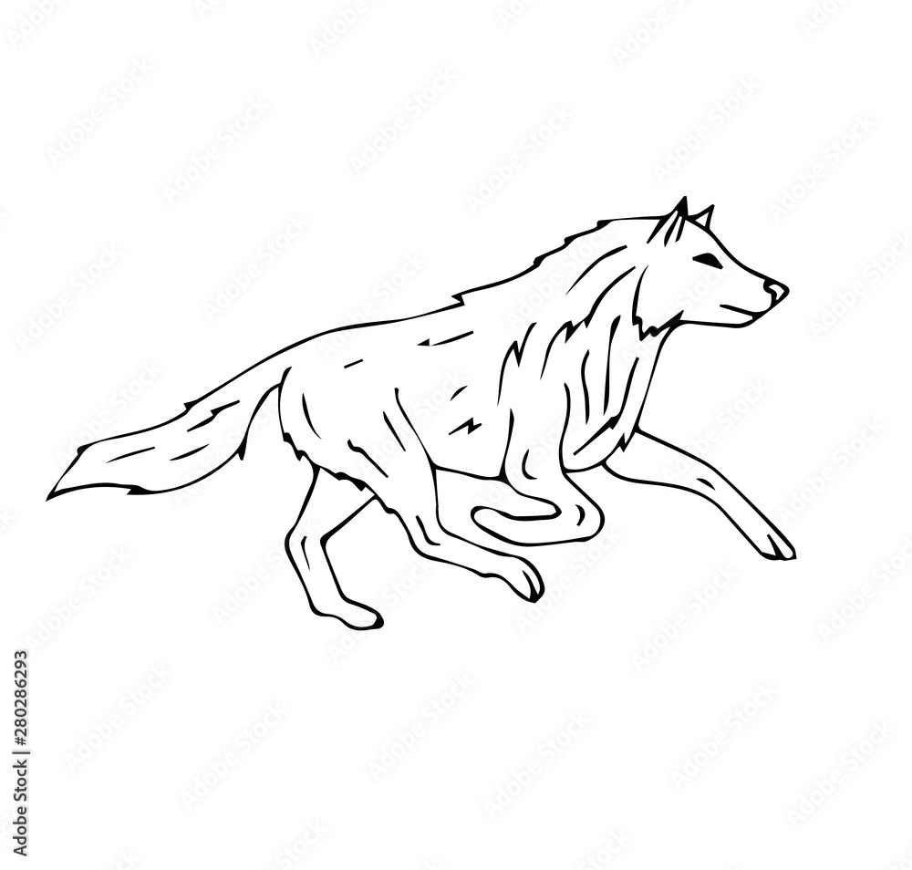 Fototapeta premium Vector hand drawn doodle sketch wolf running isolated on white background
