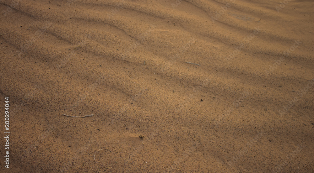 simple background of dirty textured wavy desert sand surface with small wooden sticks and other things simple background of dirty textured wavy desert sand surface with small wooden sticks and other things