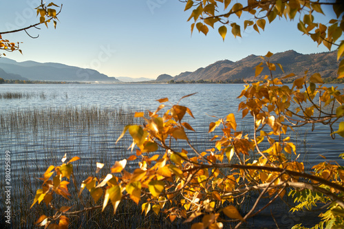 Osoyoos Lake Autumn Leaves. A quiet morning on Osoyoos Lake, British Columbia, Canada. photo