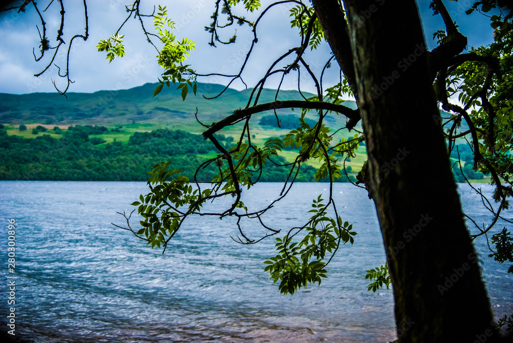 In the forests around loch tay