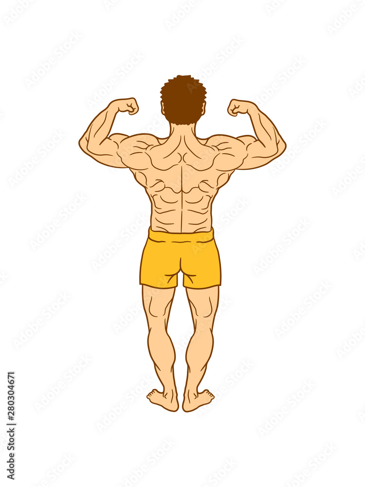 muskeln muckis körper kräftig kraft bodybuilder stark von hinten sexy hübsch schön fitness pumpen posen rücken mann kerl männlich training clipart comic cartoon design muskeln muckis körper kräftig kraft bodybuilder stark von hinten sexy hübsch schön fitness pumpen posen rücken mann kerl männlich training clipart comic cartoon design