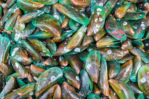 Mussel fresh at street food market in thailand