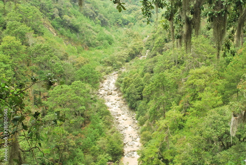 Río y paisaje verde