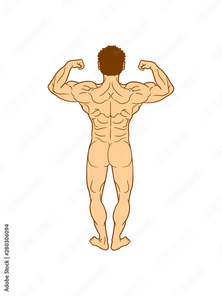 mann nackt muskeln muckis körper kräftig kraft bodybuilder stark von hinten  sexy hübsch schön fitness rücken kerl männlich training clipart Stock  Illustration | Adobe Stock