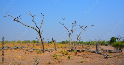 Landscape of Etosha National Park is a national park in northwestern Namibia. Located in the Kunene region and shares boundaries with the regions of Oshana, Oshikoto and Otjozondjupa. photo