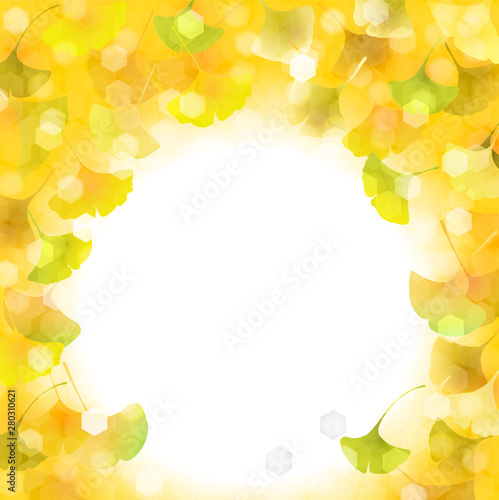 紅葉　イチョウ　葉　背景 