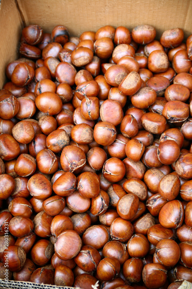 Chinese Food. Chestnut - Bangkok