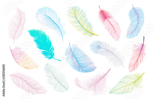 Colorful feathers vector collection