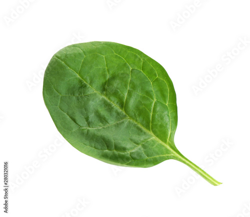 Fresh green healthy baby spinach leaf isolated on white, top view