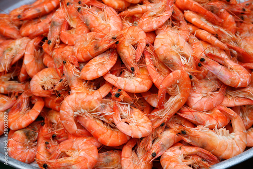 Thai Seafood. Shrimp - Studio