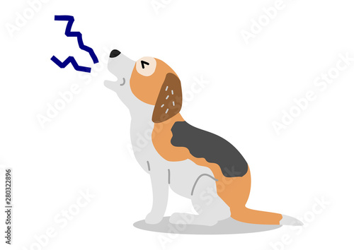 old dog keep crying