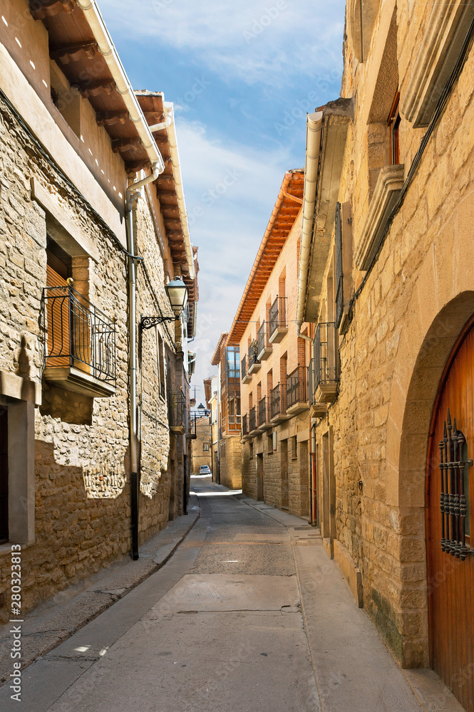 Fototapeta premium beautiful castle Olite